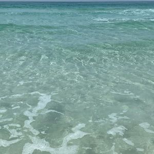 Meet your Posher, Chesney